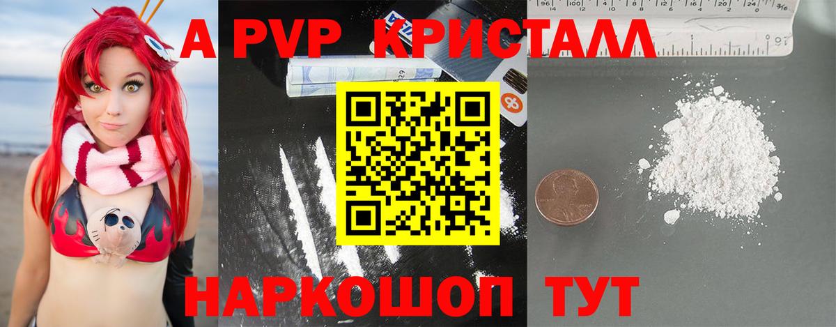 Alfa_PVP СК Фрязино